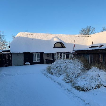 Farm61 Badehotellet I Det Midtjydske - Alder +18 Ar Tjele Esterno foto