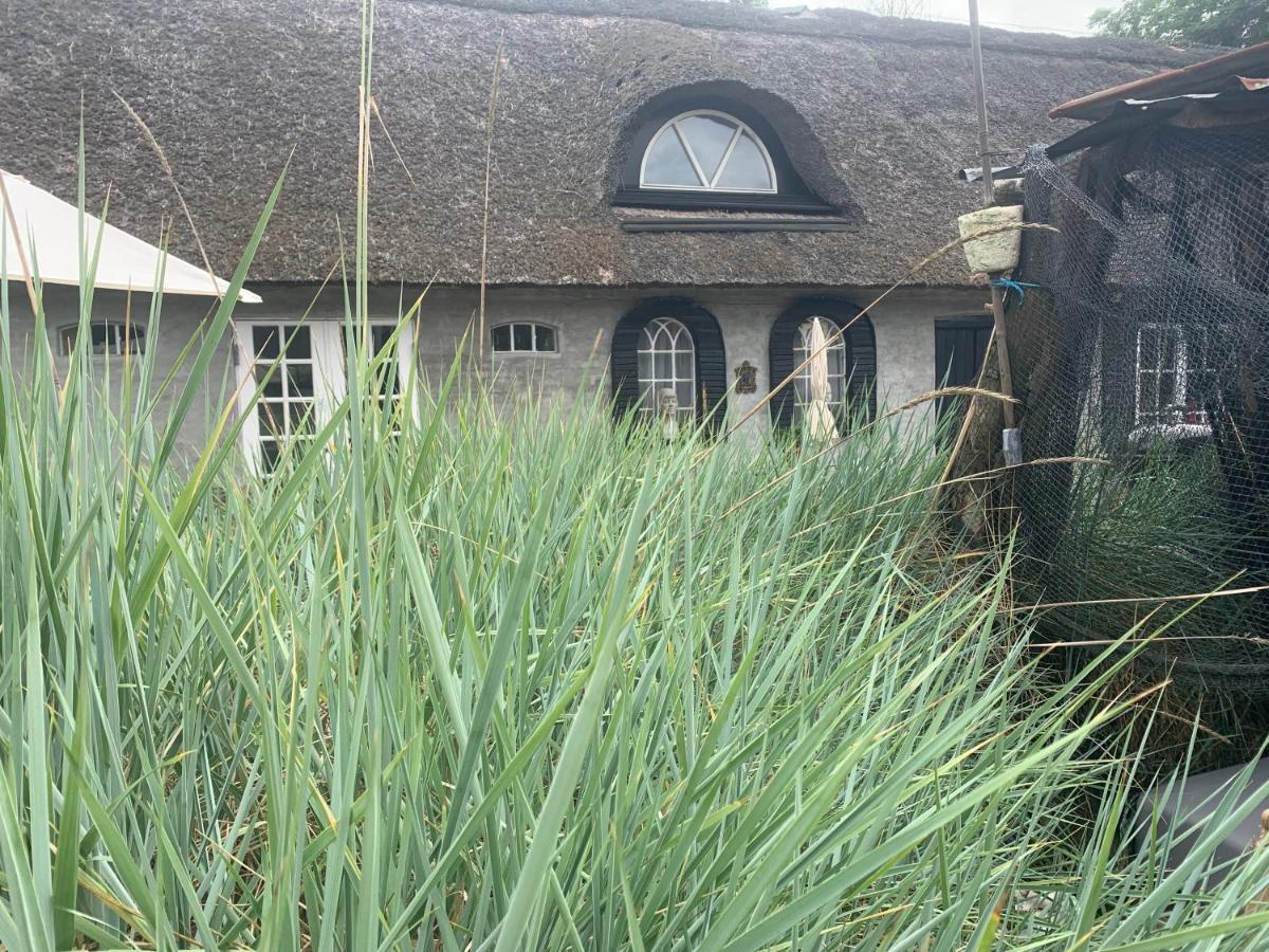 Farm61 Badehotellet I Det Midtjydske - Alder +18 Ar Tjele Esterno foto