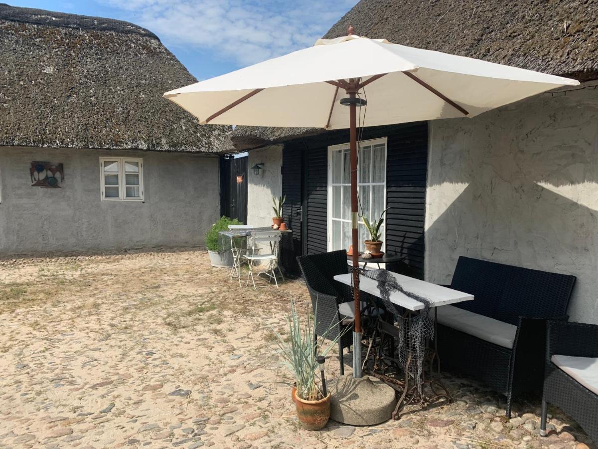 Farm61 Badehotellet I Det Midtjydske - Alder +18 Ar Tjele Esterno foto