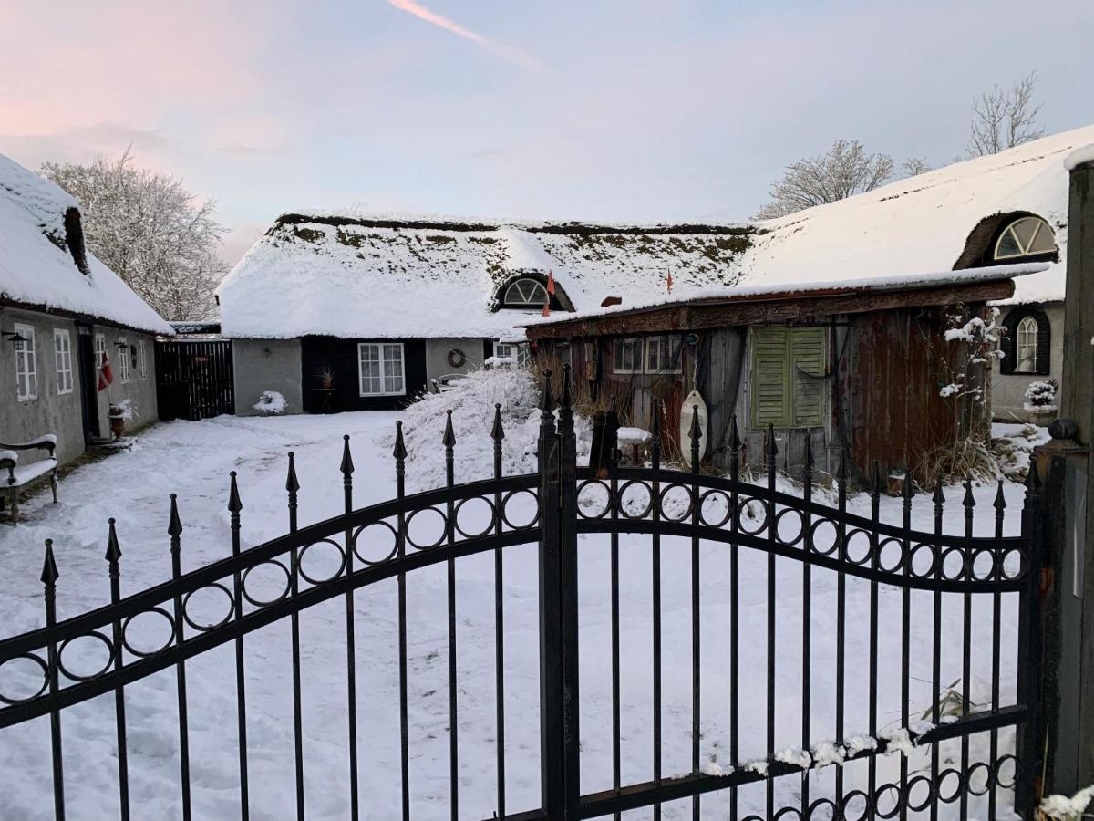 Farm61 Badehotellet I Det Midtjydske - Alder +18 Ar Tjele Esterno foto